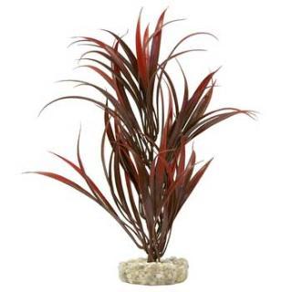 Blue Ribbon Gravel Base Plant - Sword Plant Red