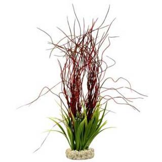 Blue Ribbon Gravel Base Plant - Water Hair Grass Red