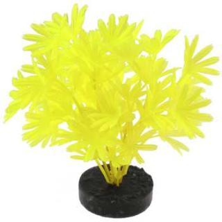 Blue Ribbon Colorburst Plant Palm Neon Yellow