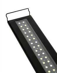 Satellite Freshwater LED Plus 18"-24