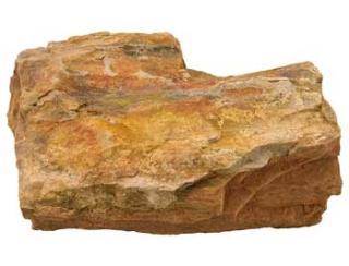 Estes Petrified Wood - Assorted Size - 25lb