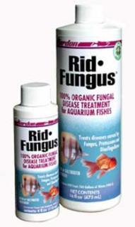 Kordon Rid Fungus 4oz