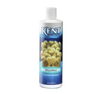 Kent Phytoplex Phytoplankton 16 oz.