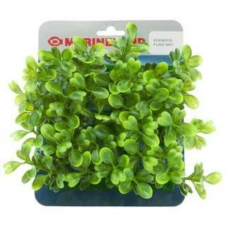 Marineland Boxwood Plant Mat