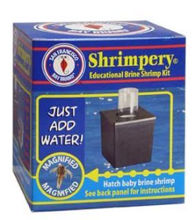 San Francisco Brine Shrimp Shrimpery