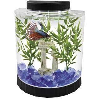 Tetra LED Half Moon Betta Kit 1.1 Gal Tank