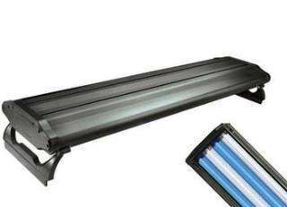 Wavepoint 36" High Output T5 Light System 4 X 39 W