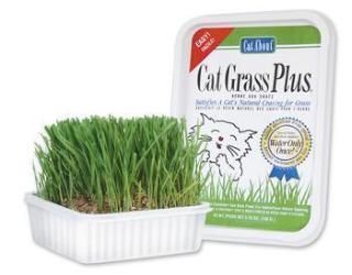 Gimborn Gimpet Cat Grass 150g