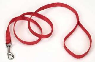 Coastal Style 406 5-8" x 6' Nylon Web Training Lead Red