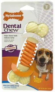 Nylabone Proaction Dental Chew Medium