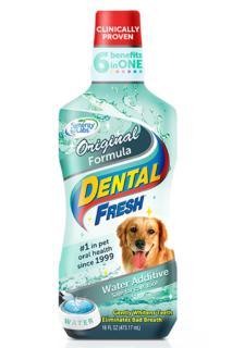 Synergy Labs Dental Fresh 16 oz.