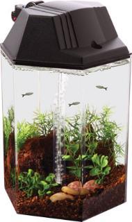 Koller Kraft Betta Hex Tank Kit 1.7gal