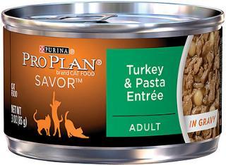 Pro Plan Gravy Turkey-Pasta Cat Can 24-3oz