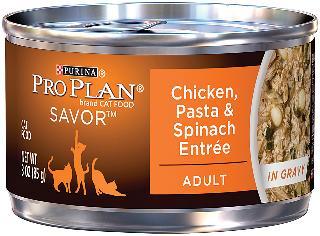 Pro Plan Chicken Pasta Spinach Can Cat 24-3 Oz