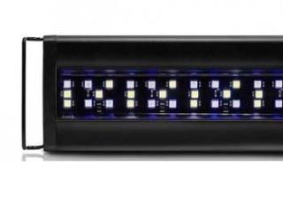 Orbit Marine LED Lighting System W-Timer 18"-24