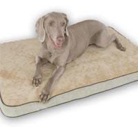 K&H Memory Foam Sleeper Medium 23X35 Sage