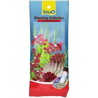 Tetra Multipack, Blooming Aquarium Decorations