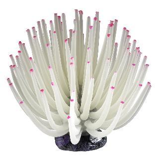 Tetra White Anemone, Blooming Aquarium Decoration