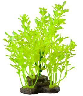 Elive Glow Elements Neon Green Lindernia - Medium - 5-6 in