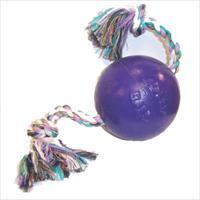 Jolly Pets Romp-N-Roll Purple 8