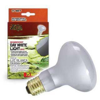 Zilla Day White Spot Bulb Boxed 75 Watts