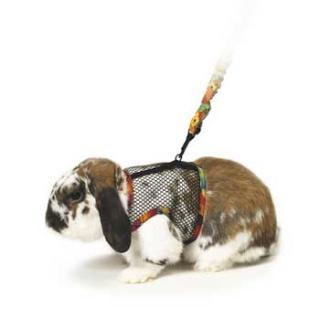 Super Pet Comfort Harness & Stretchy Leash, Large